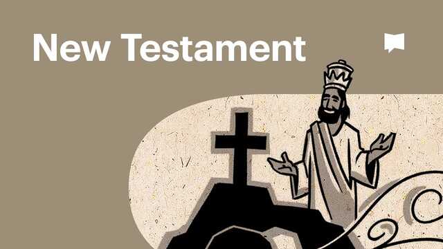Bible Project overview of the new testament