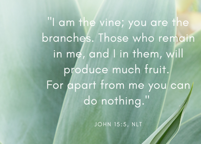 shareable scripture graphics of John 15 verse