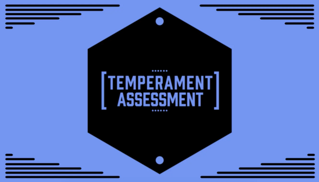 Group members temperament assesment